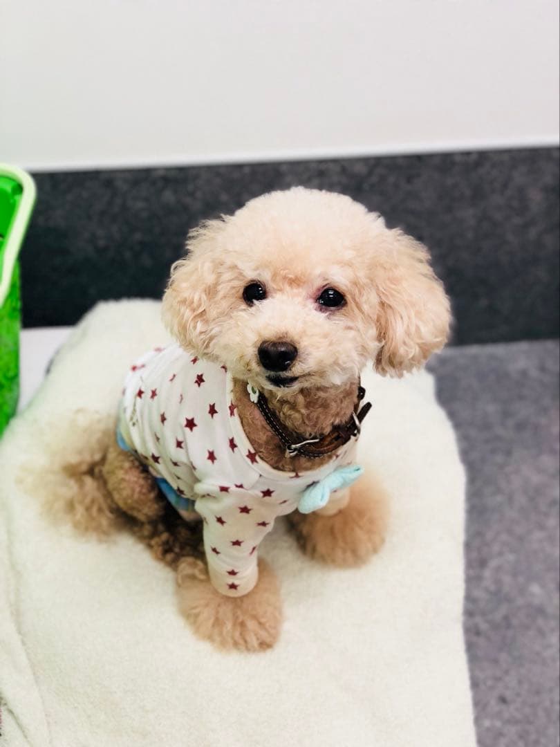 イメージ画像用