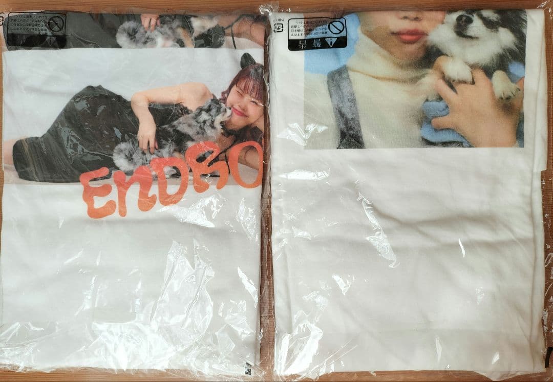 【週末値下】アイナ・ジ・エンド　ロンT ２点　武道館　LINE CUBE