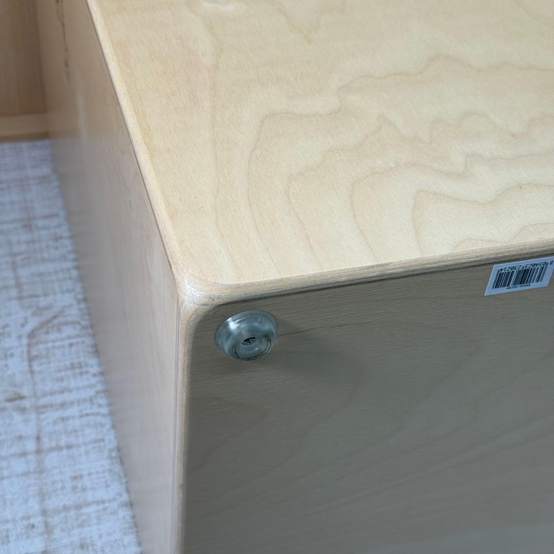 De gregorio bravo カホン cajon ケース付　打楽器