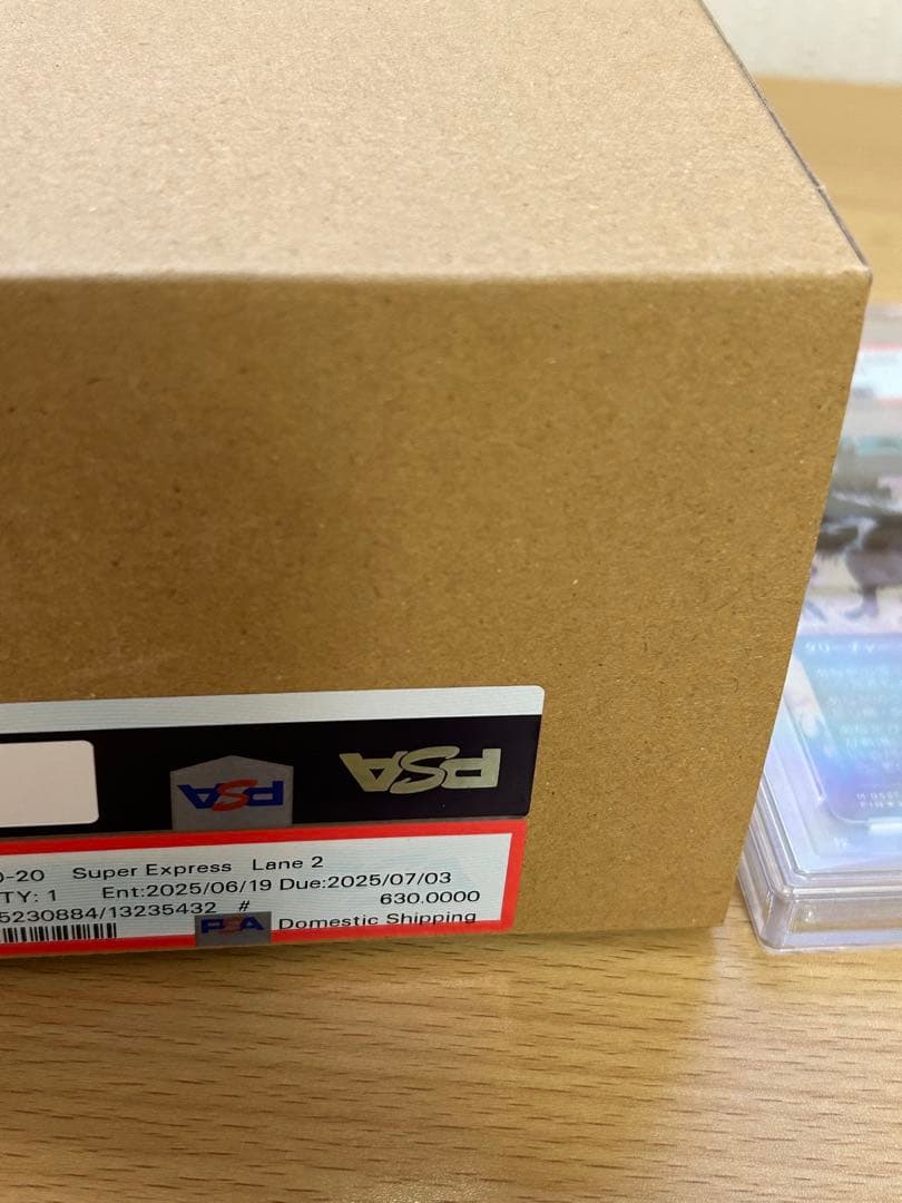 PSA10 旅するチョコボ Traveling Chocobo ネオンインク 黒