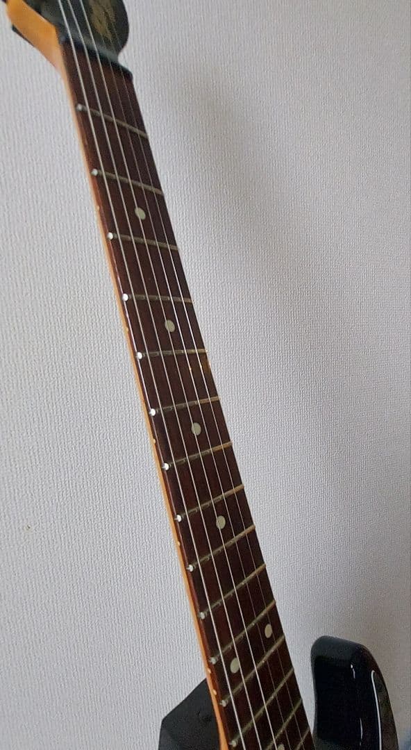 Bill Lawrence ビルローレンス BCOR-55B改　ハードケース付