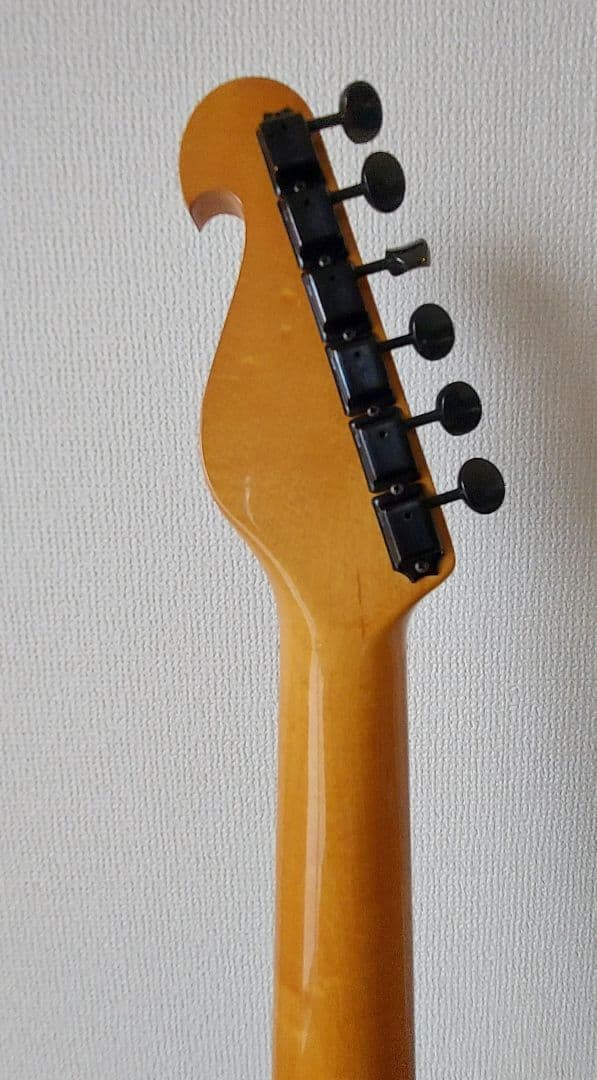 Bill Lawrence ビルローレンス BCOR-55B改　ハードケース付