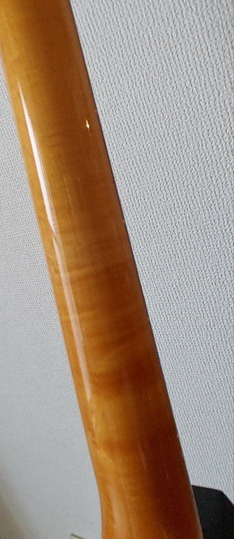 Bill Lawrence ビルローレンス BCOR-55B改　ハードケース付