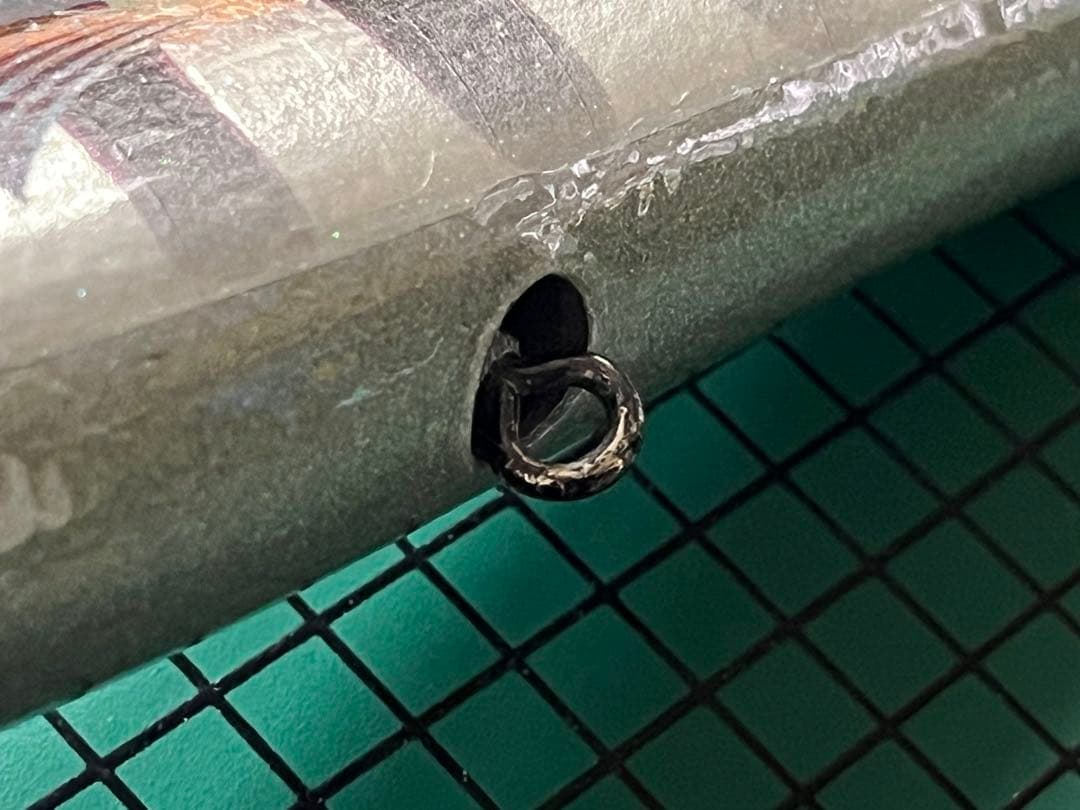 【カーペンター】GT-γ160H(小傷あり)