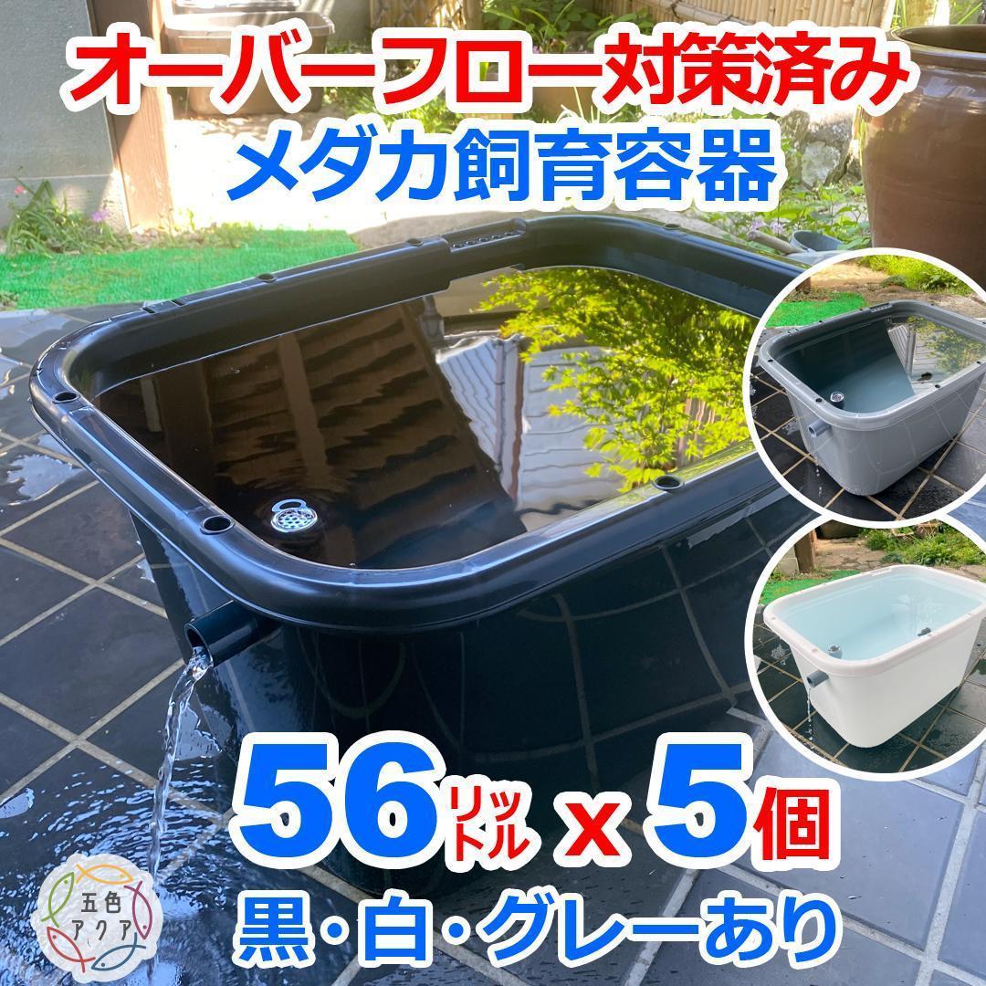 メダカ飼育ケース 56㍑x5個 白黒灰あり オーバーフロー 金魚屋外飼育容器