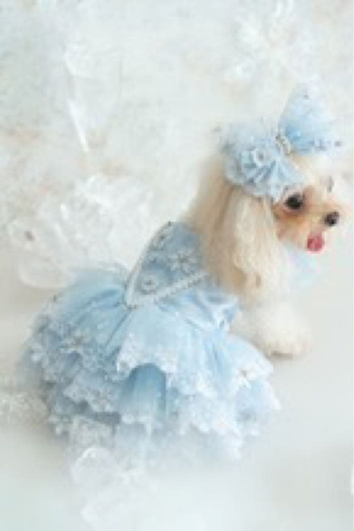 【 Pet a Portre (ペット ア ポルテ) 】水色ドレス リボン付き