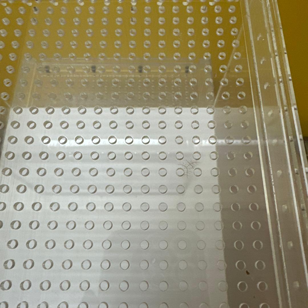 Reptile Box E22 アクリル製透明飼育ケージ　レプタイルボックス