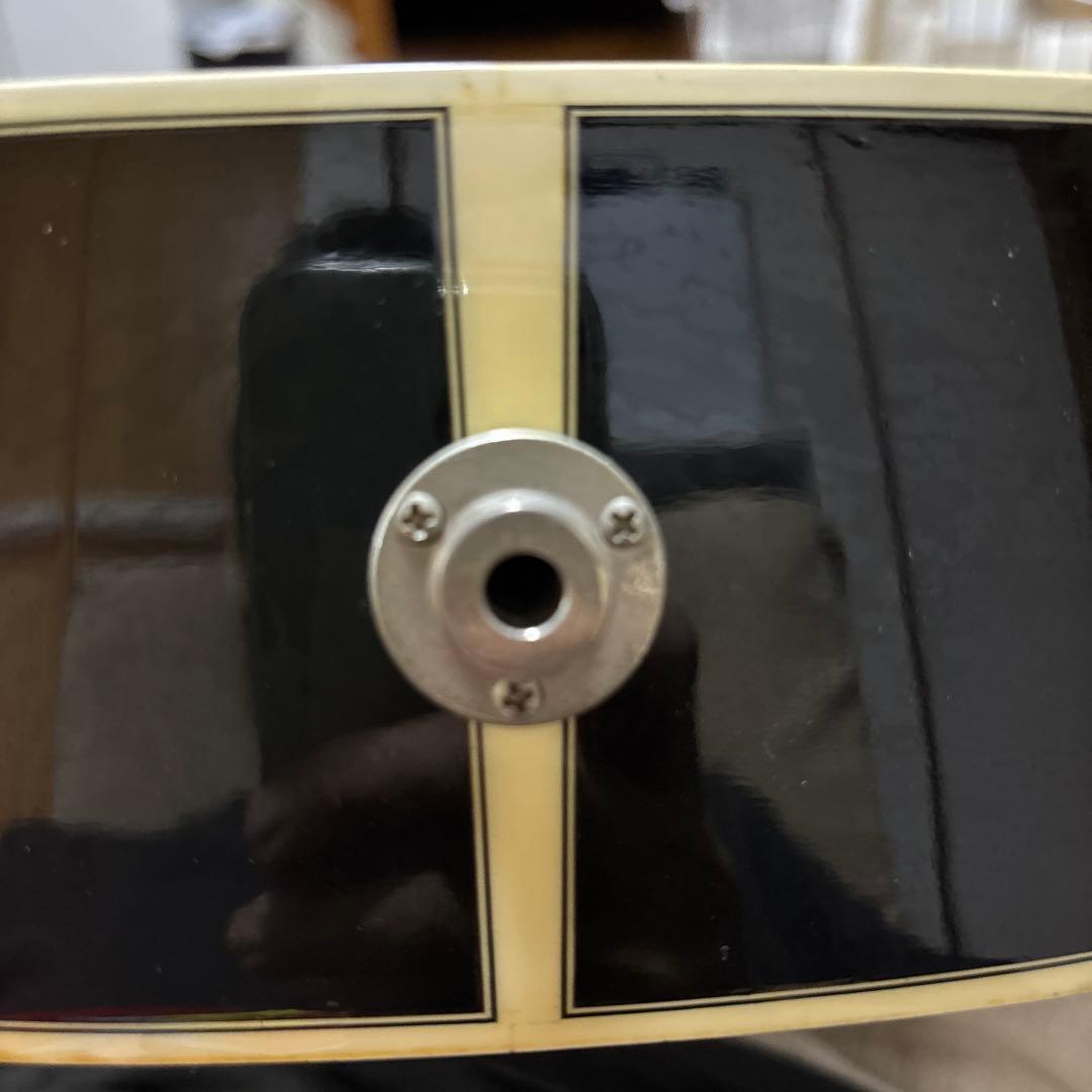 タカミネ NPT-115 エレアコ ハードケースつき