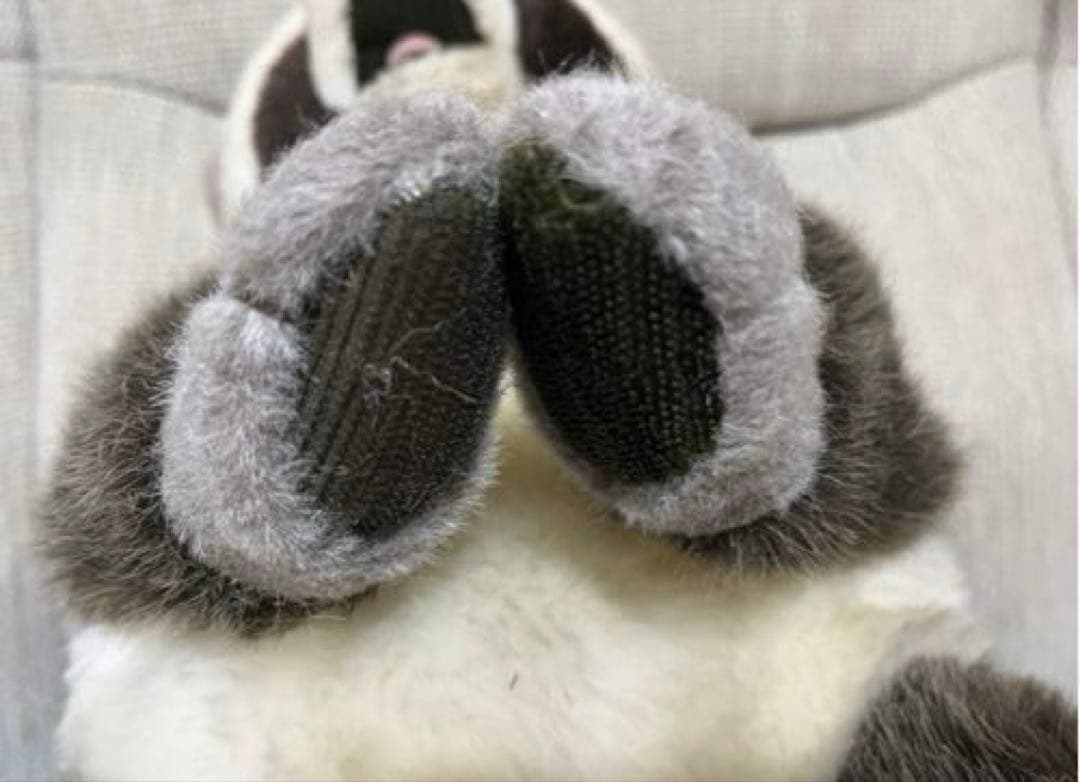 P　ファースト社 アライグマ ぬいぐるみ WOODY CHAPMAN