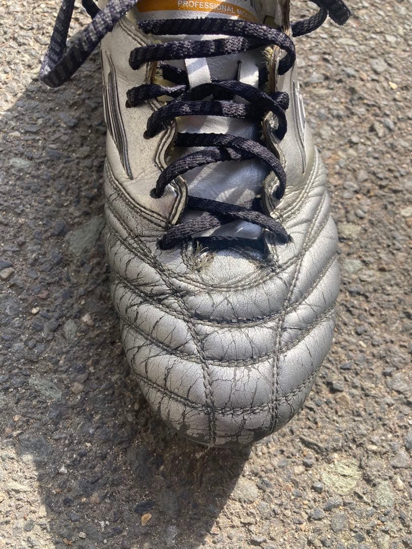 モレリアネオ　　26.0