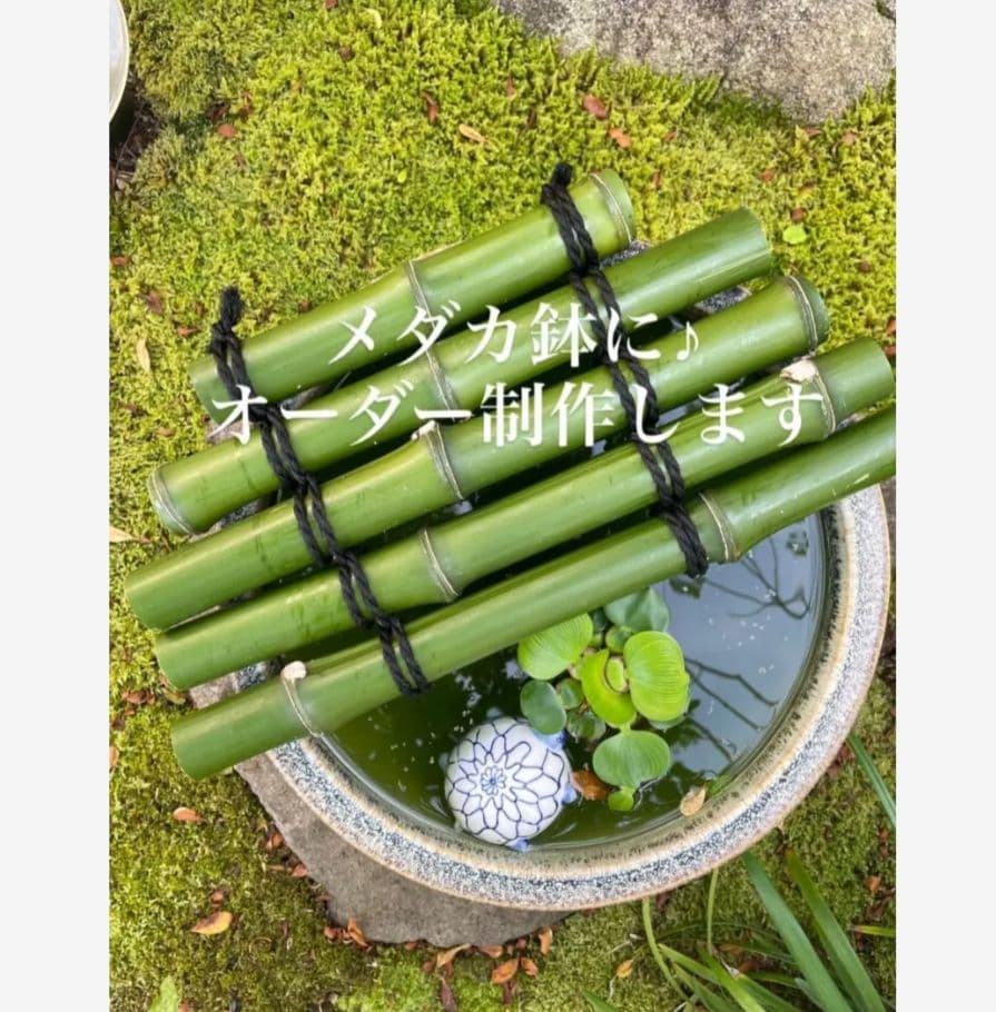 【オーダー制作します】天然青竹で作るメダカ鉢の蓋