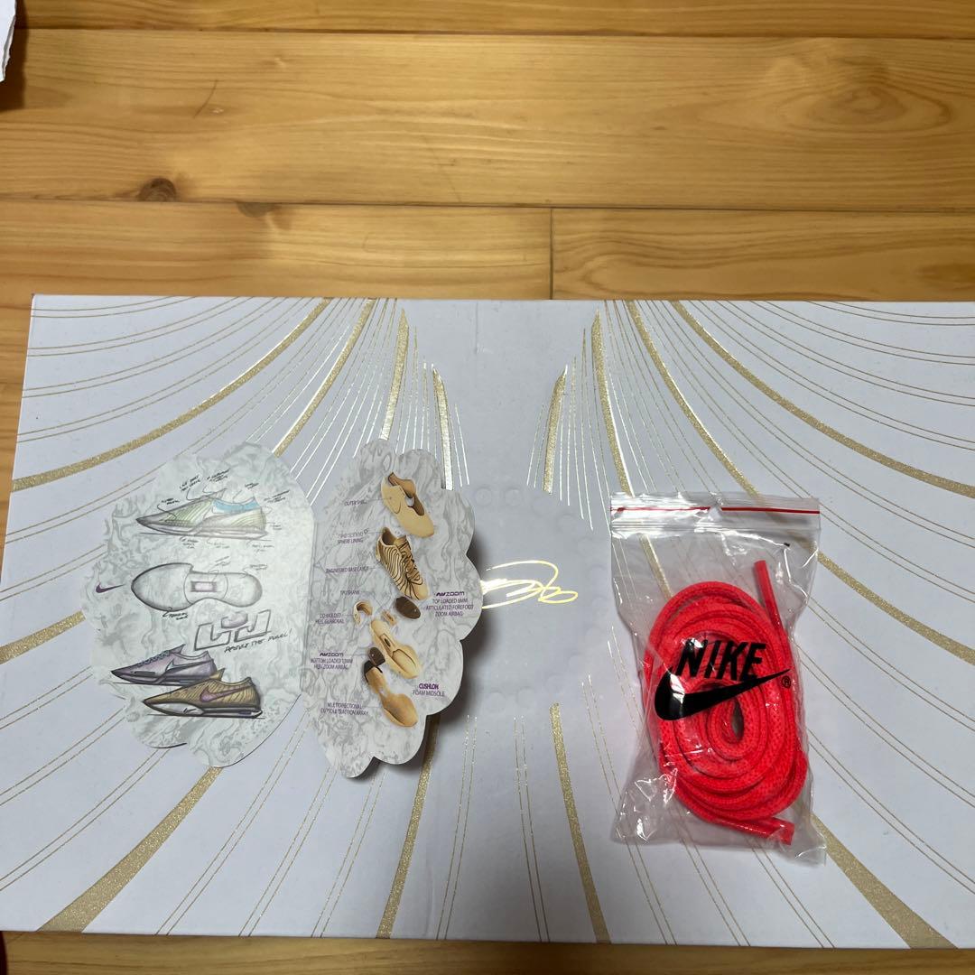 nike lebron 21 james gang ナイキ　レブロン ジェームズ