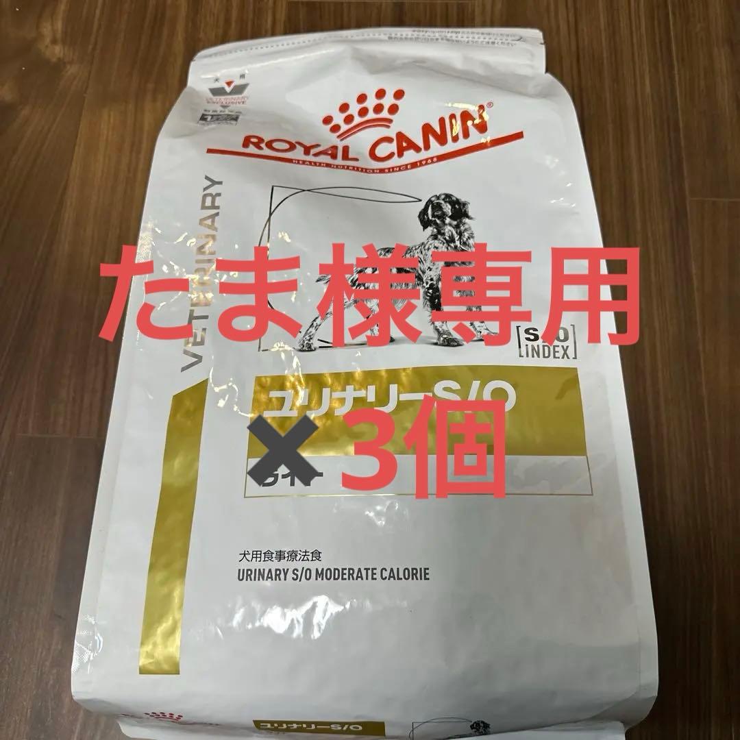 3個　 CANIN ユリナリーS/O ライト 犬用 3kg
