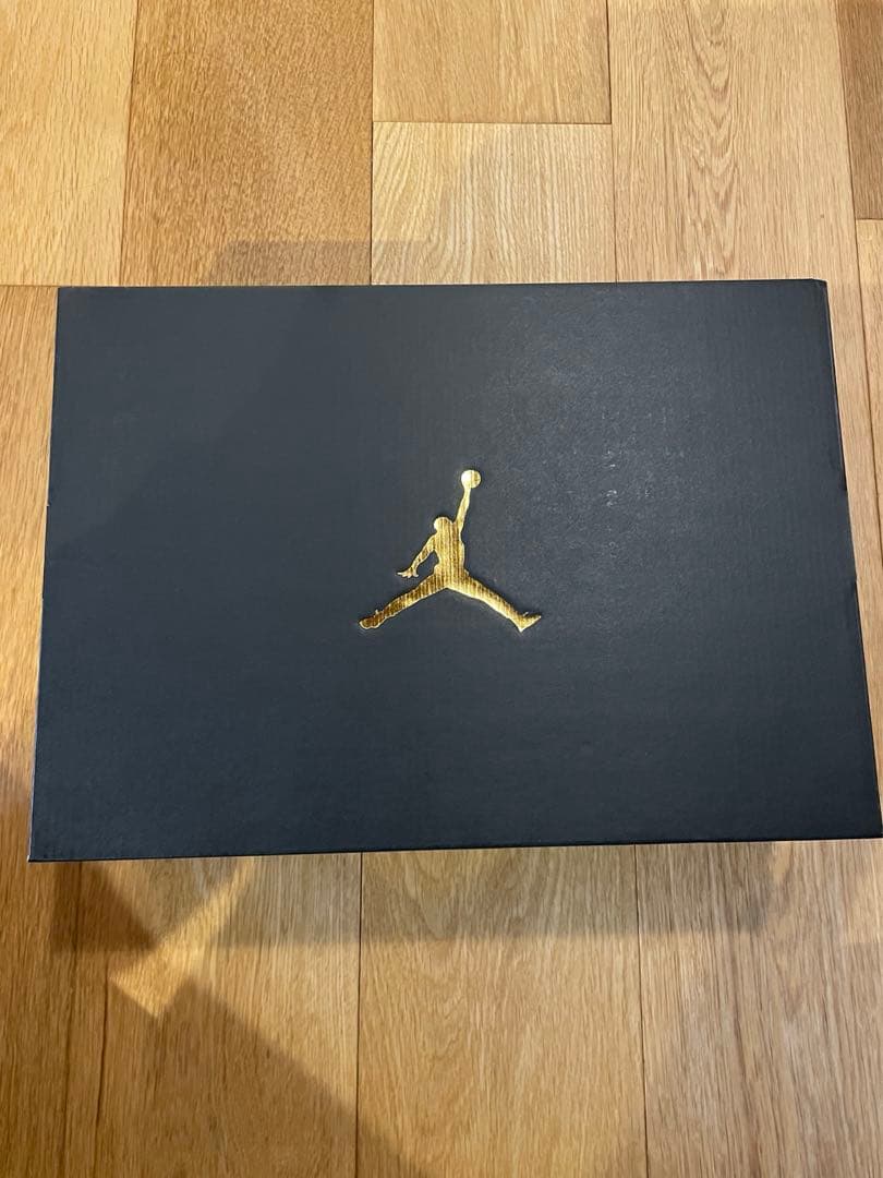 Nike Air Jordan 9 Golf エアジョーダン9G 28.5㎝