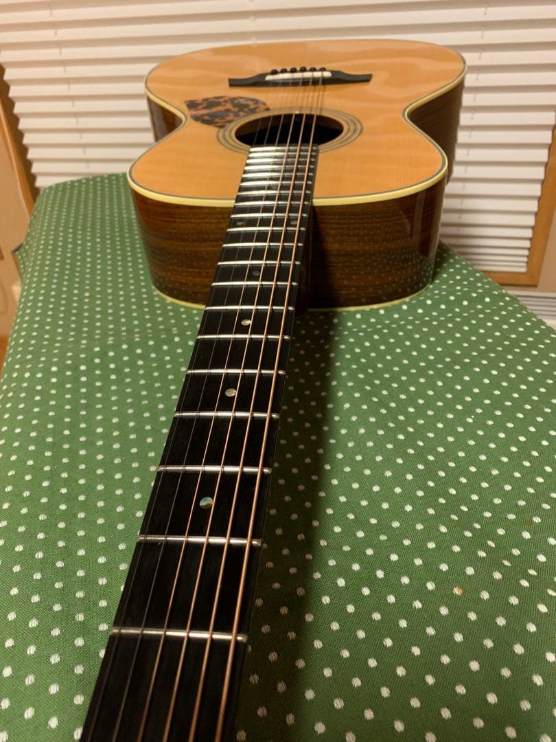 Gary E. Levinson LS-43 アコースティックギター