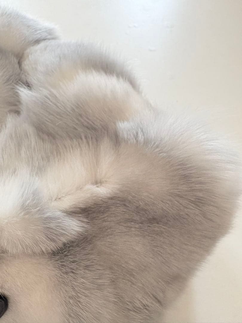 未使用級 TODsトッズ　ハンドバッグ　リアルファー2WAYバッグ　ショルダー付