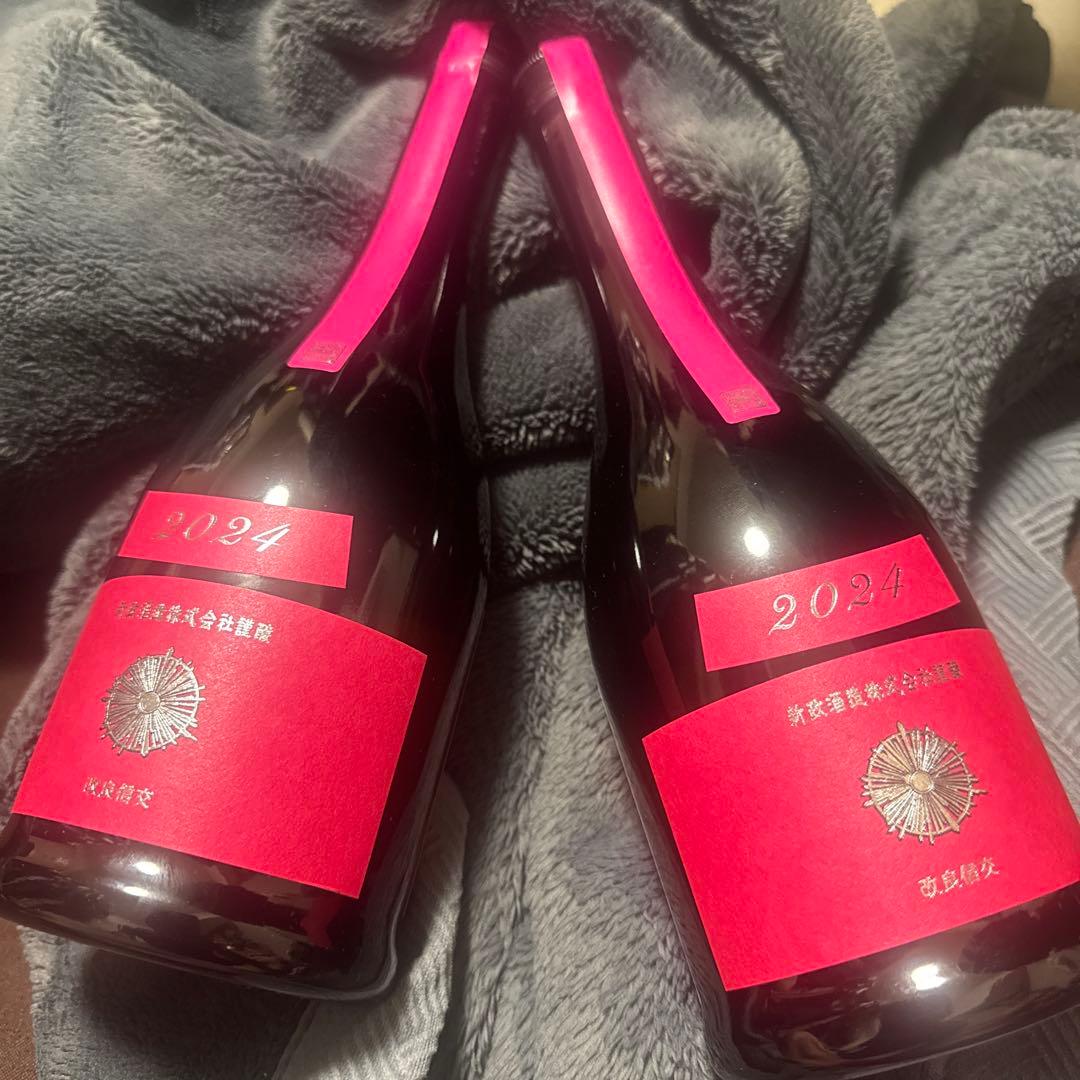 新政　コスモス　2本