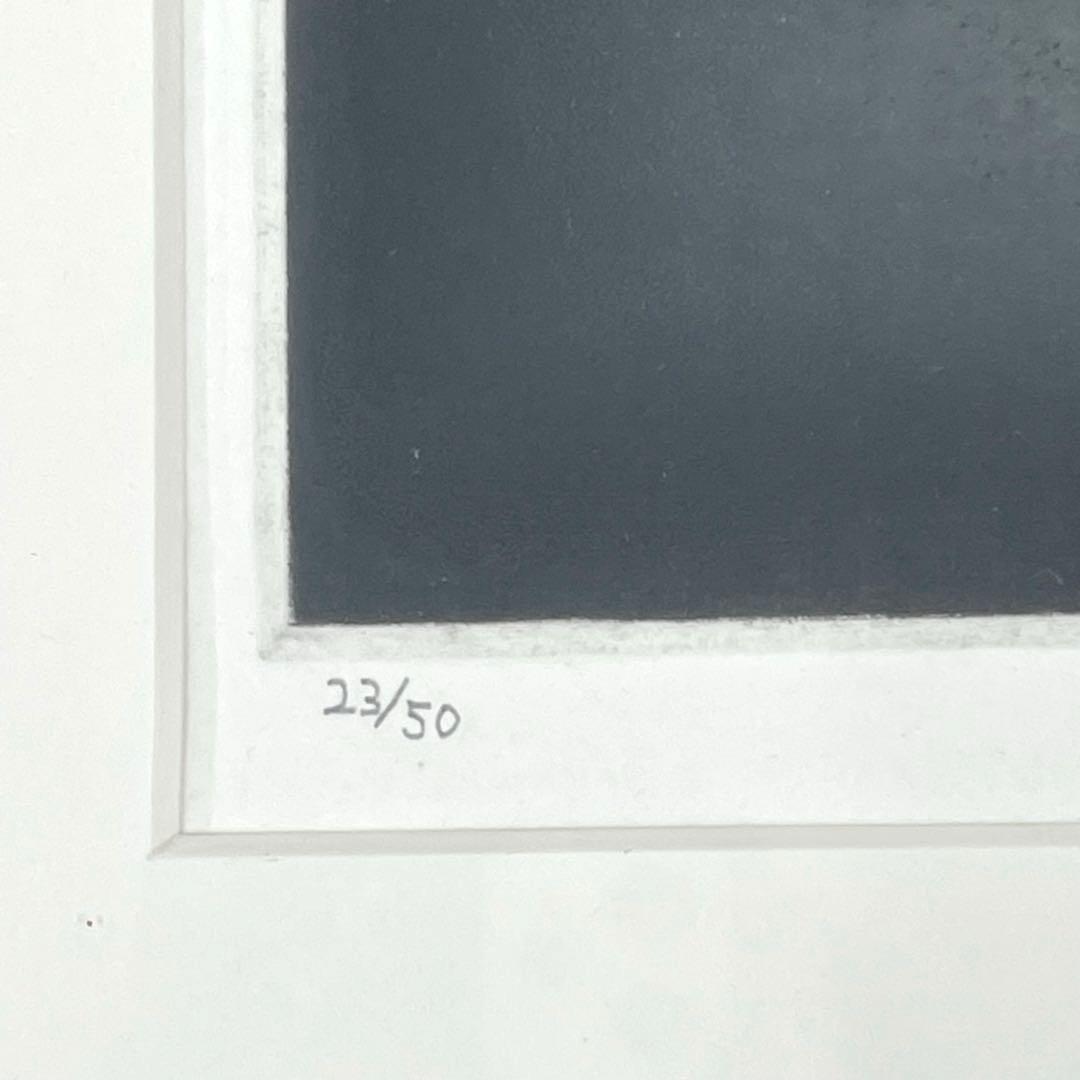 S1-M0187丹阿弥丹波子 リトグラフ 絵画　花’81　サイン付き　23／50