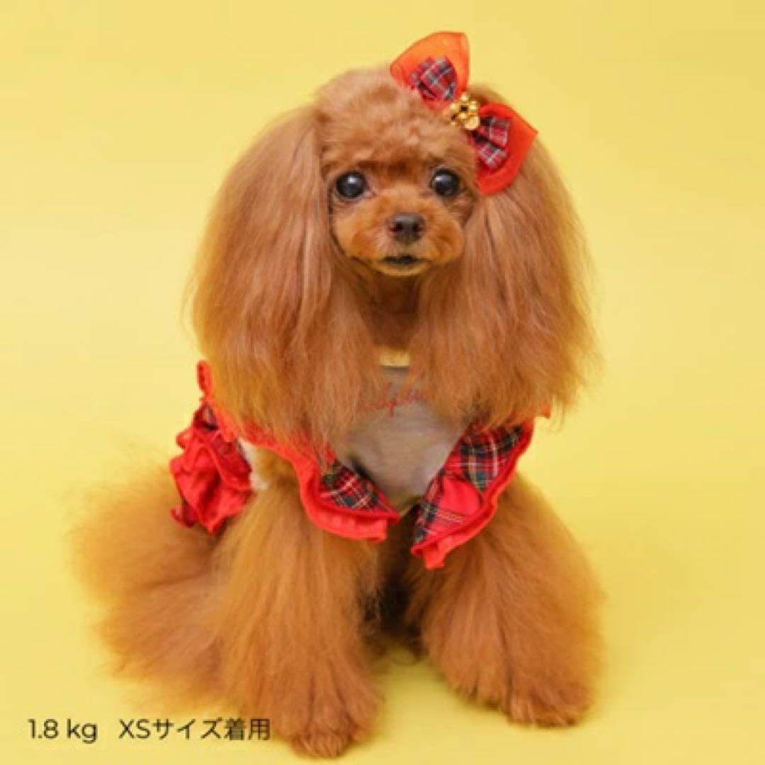 godpiva 新作チェックテラボアワンピxsバレッsetバレンタインいちご狩り