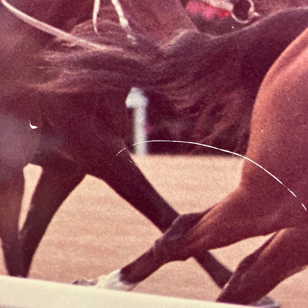 ★オグリキャップ★優勝パネル　有馬記念　ラストレース