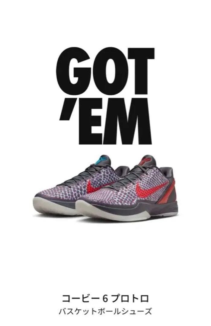ナイキ コービー6 プロトロ オルースター 3D ハリウッド Nike 27.5
