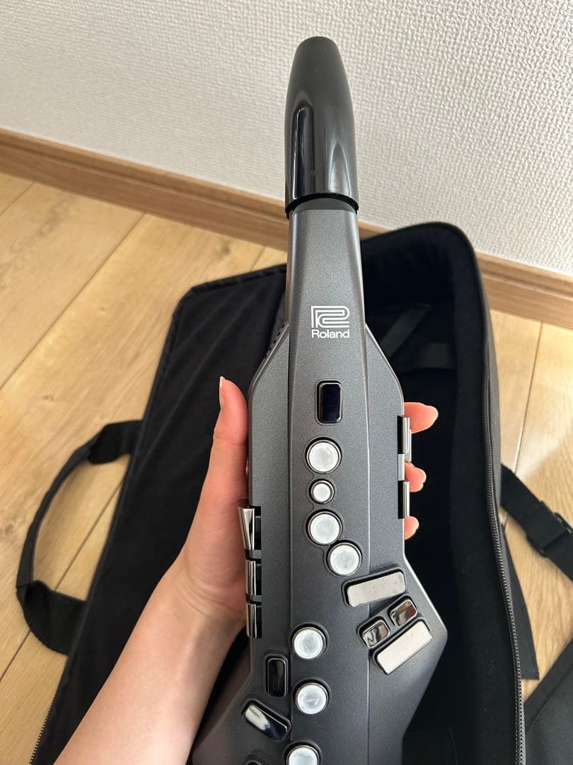 超美品早い者勝ち ローランドエアロフォン AE05
