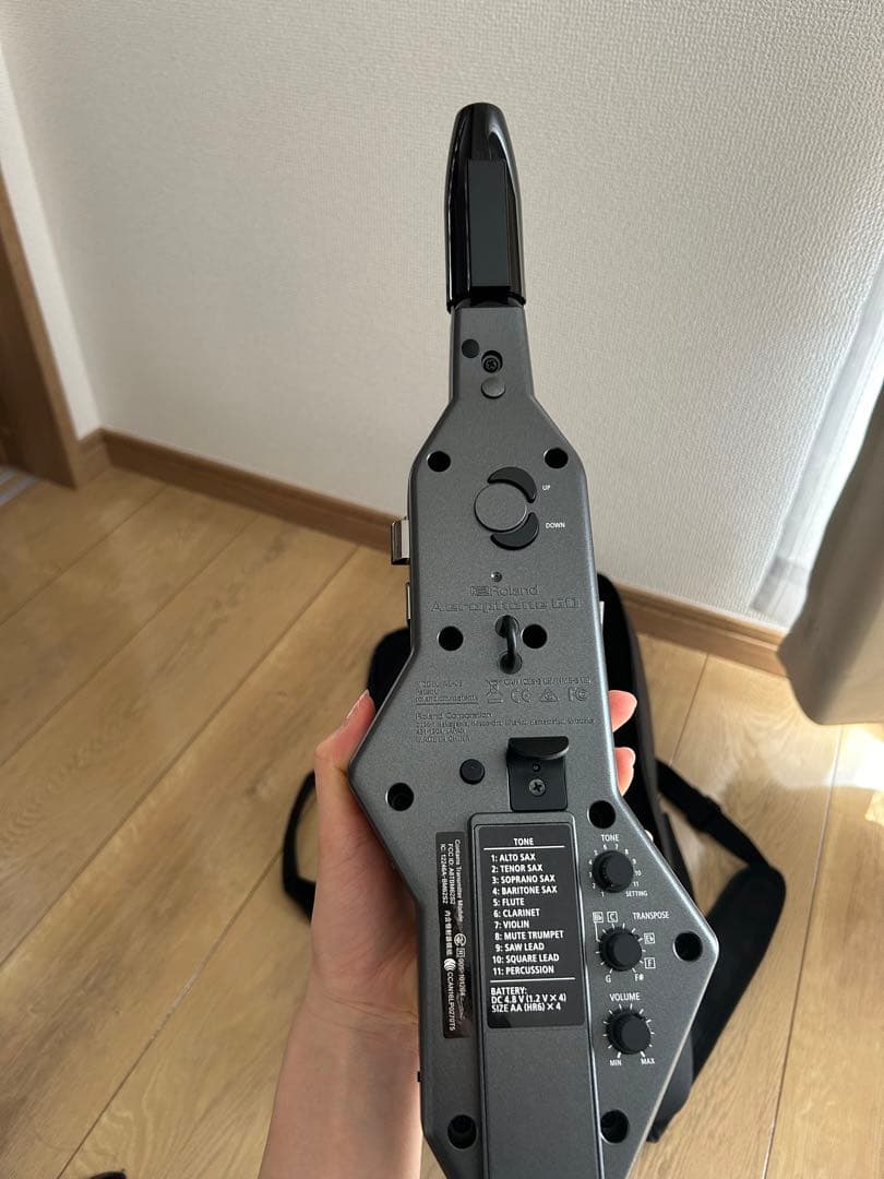 超美品早い者勝ち ローランドエアロフォン AE05