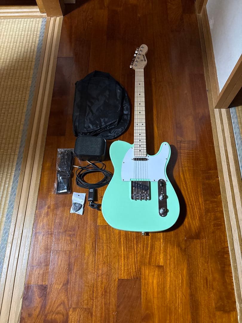 SELDERエレキギター (ソフトケース、シールドケーブル付属)