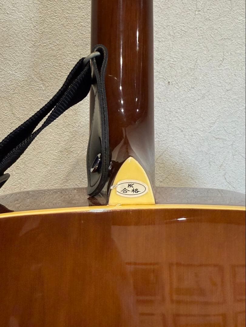 【送料込み】セピアクルー　W-130-TSアコースティックギター サンバースト