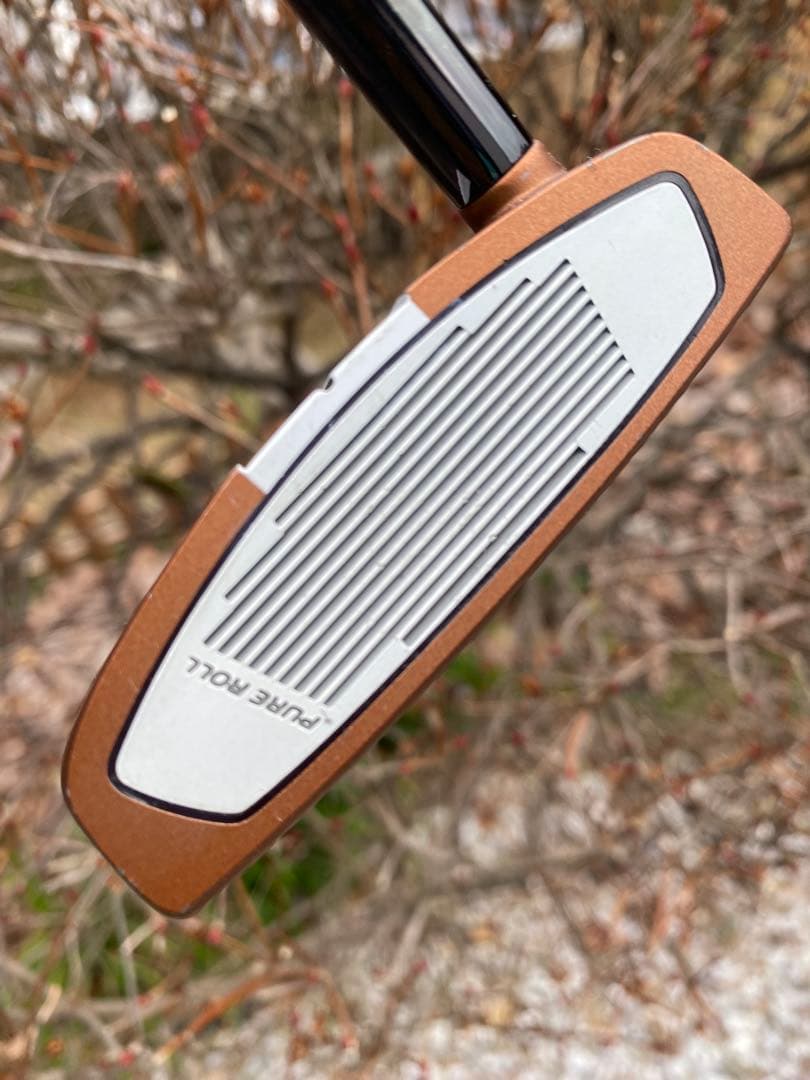 テーラーメイド　スパイダー X SX-72パター