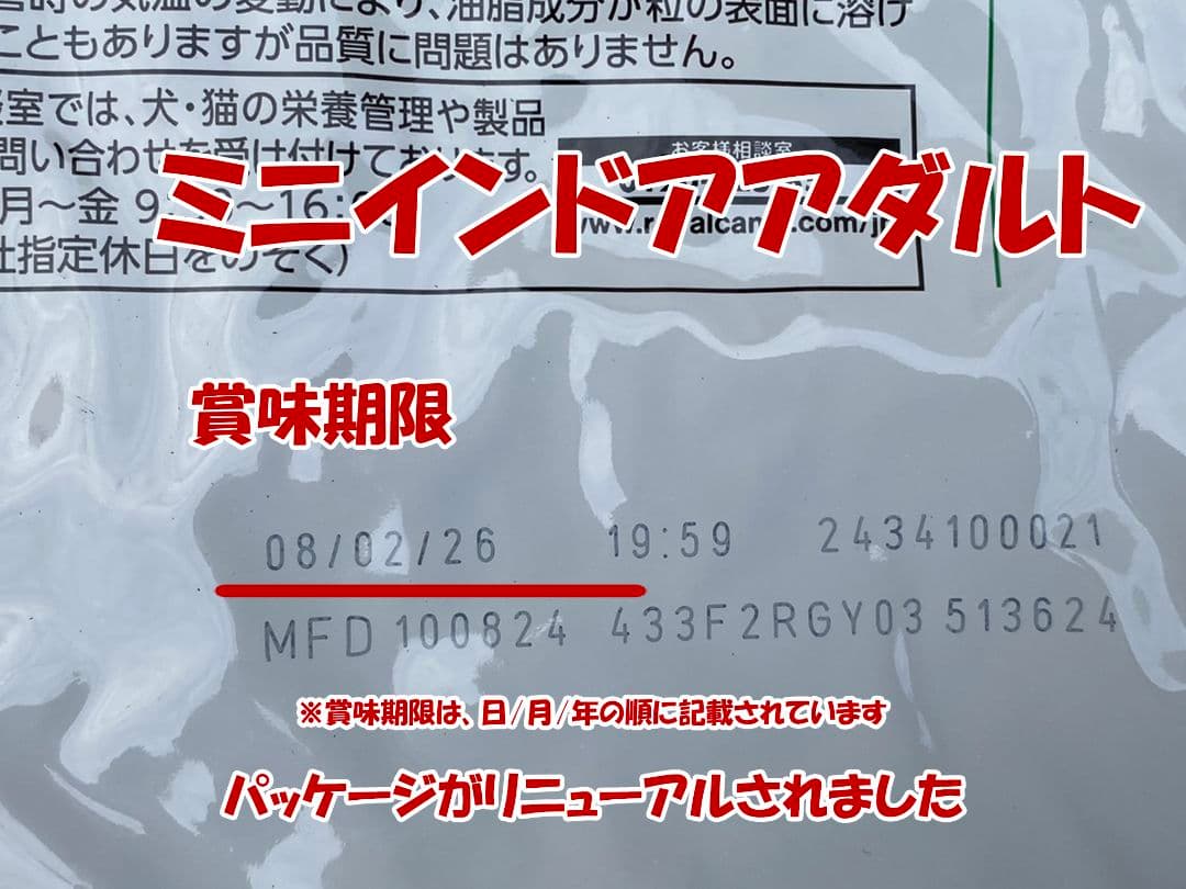  CANIN インドアアダルト 10kg