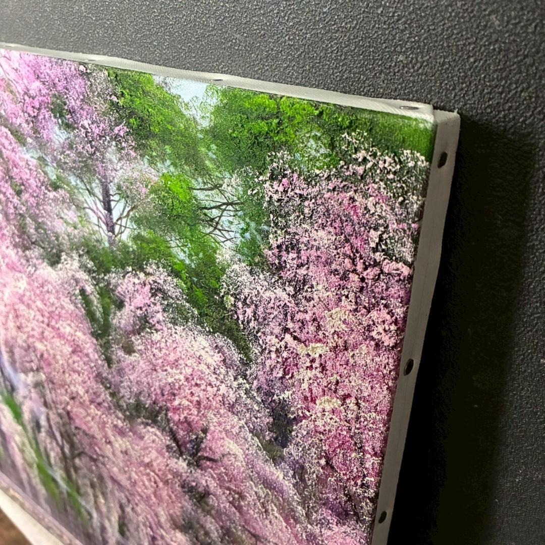 美品 寺井孝「角館の桜」キャンバスに油彩 10号 彩波会 二科展 枝垂れ桜 名品