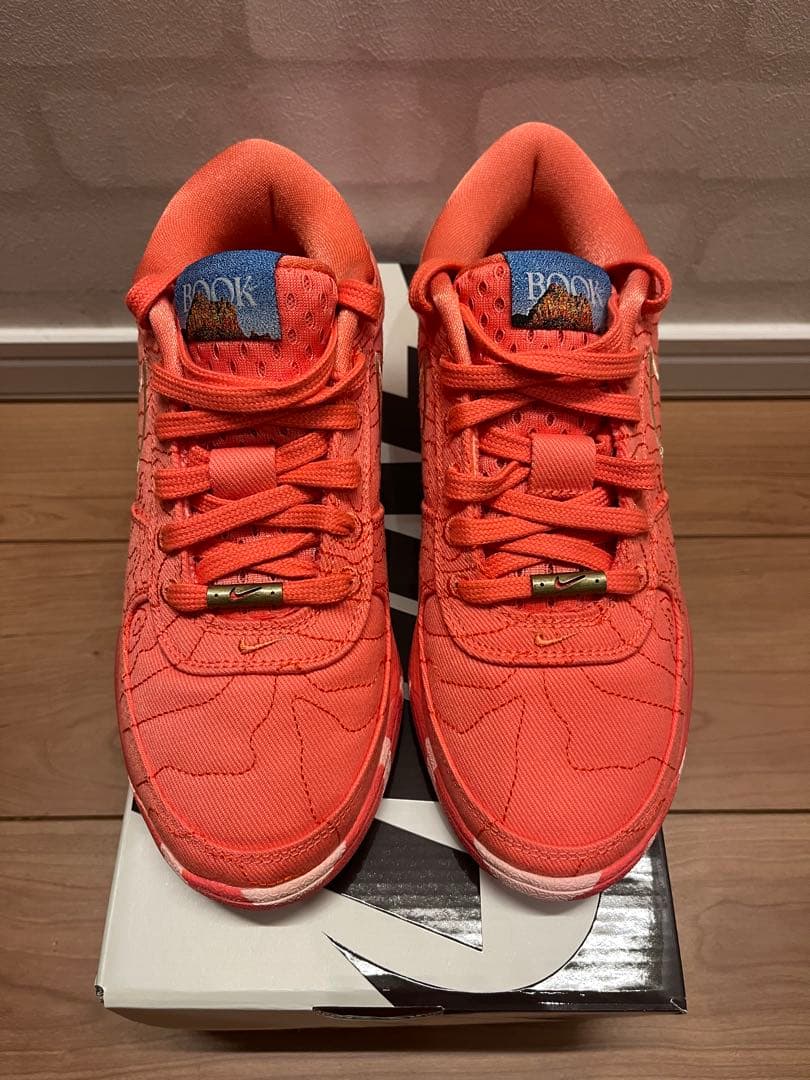 Nike Book 1 Text EP ナイキ ブック 　ジュニア　希少サイズ