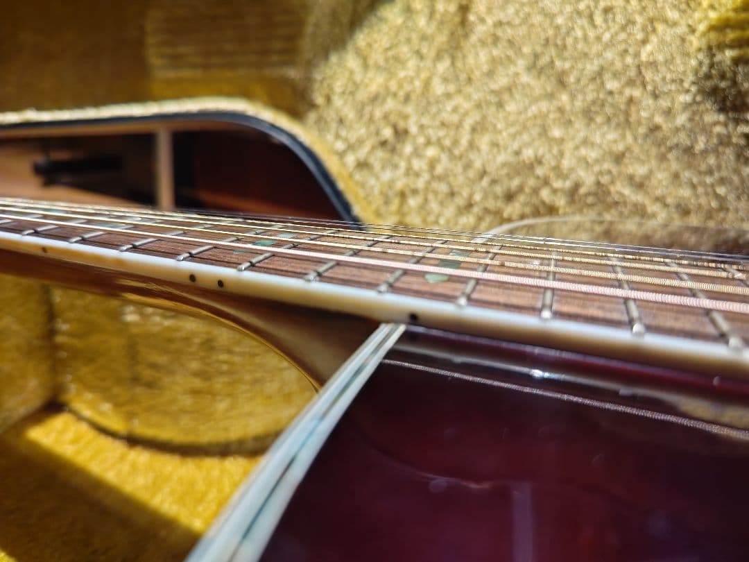 Morris W40 ビンテージ サンバースト コレクター