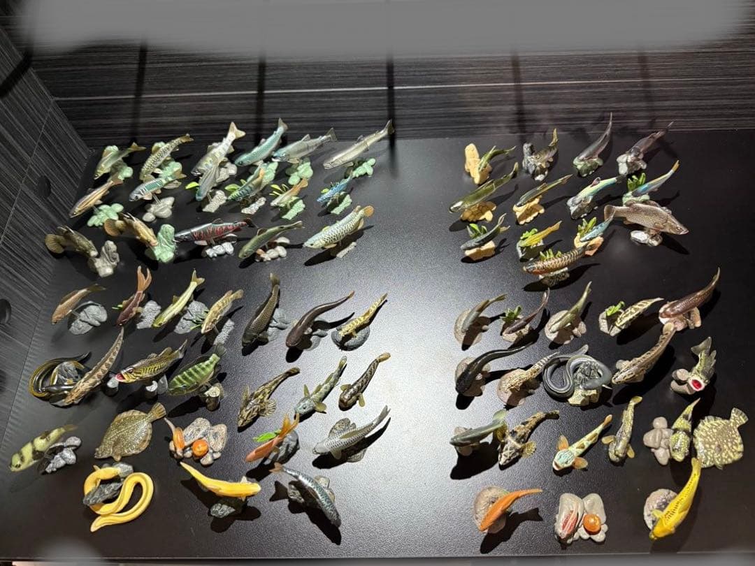 原色淡水魚図鑑