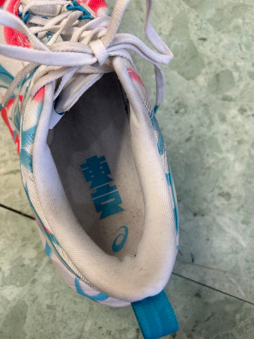 ASICS NOVABLAST 5 TOKYO メンズ　29㎝