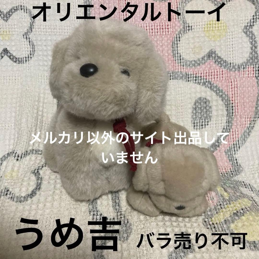 オリエンタルトーイ　うめ吉　寝そべりポーズ＆お座りポーズ　ぬいぐるみ　中古品