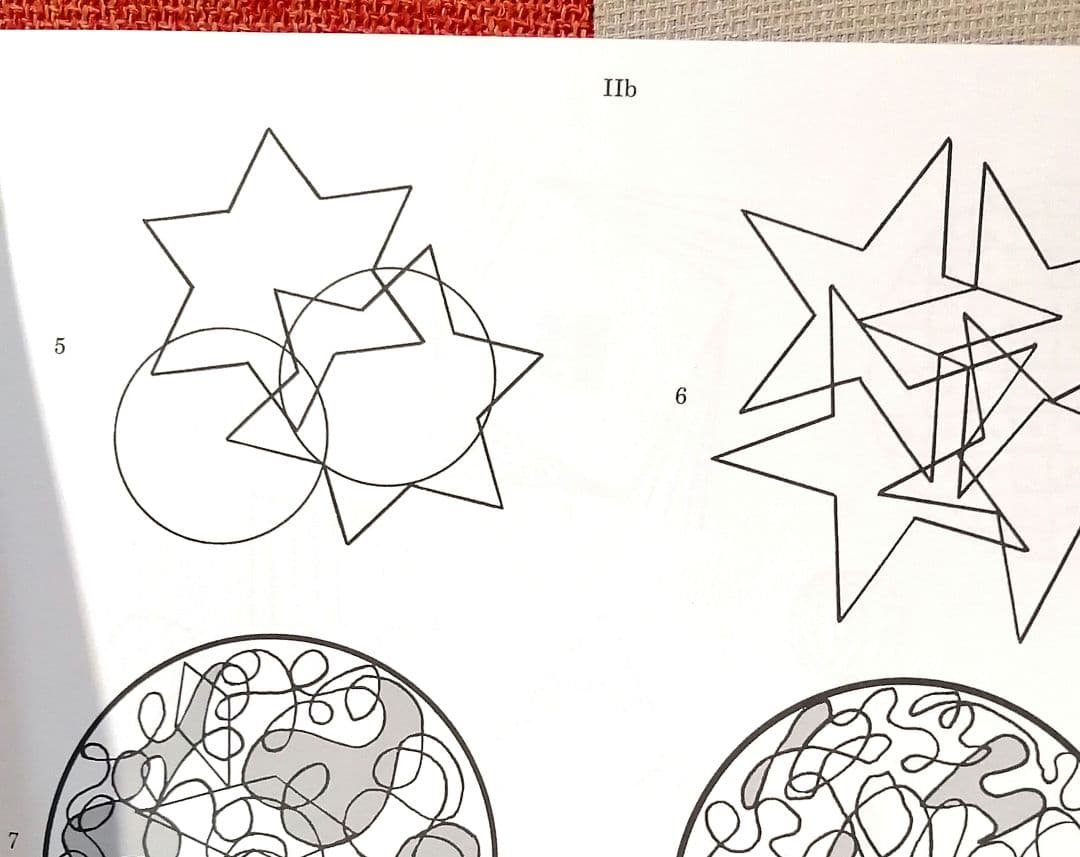 希少 フロスティッグ視知覚能力促進法 学習ブック 検査用紙 ビジョン TOSS