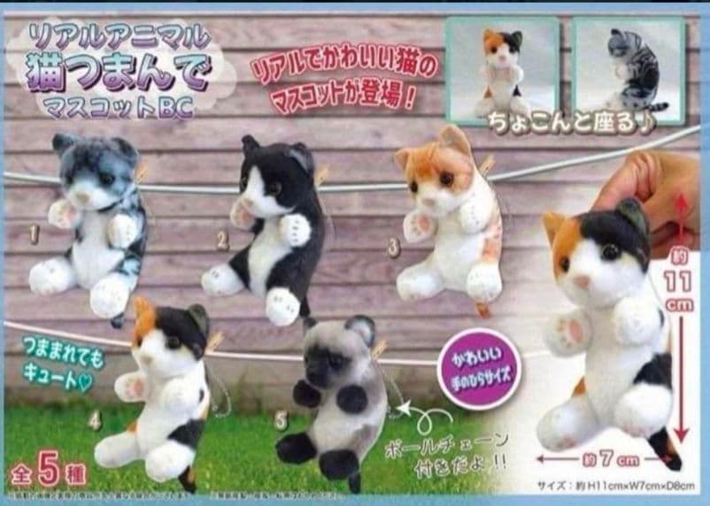 猫 つまんで マスコット ボールチェーン リアルアニマル とら猫 シャム猫