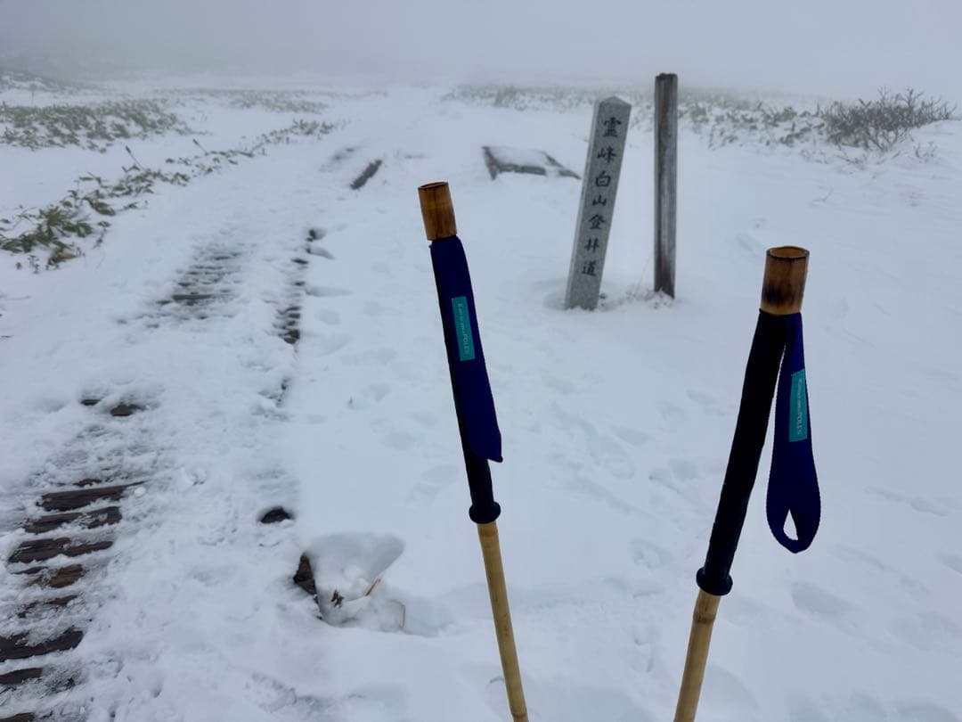 購入可　KanazawaPOLES 110cm 30cmグリップ　ターコイズ