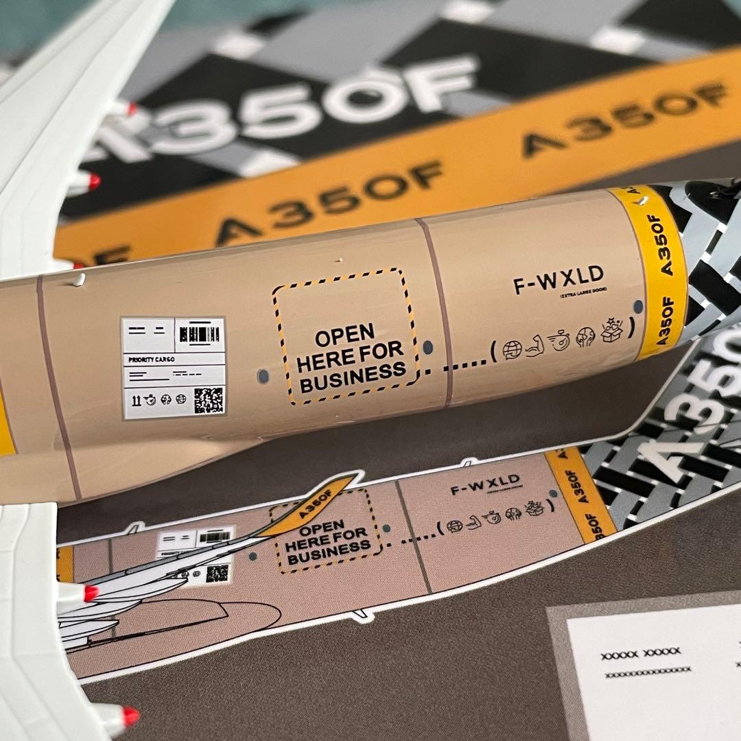 AIRBUS A350F ハウス塗装 F-WXLD
