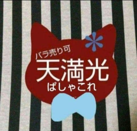 あんスタ 光 ぱしゃこれ 箔押し 中国 星燦 3周年 4周年 星動 星幻 5周年