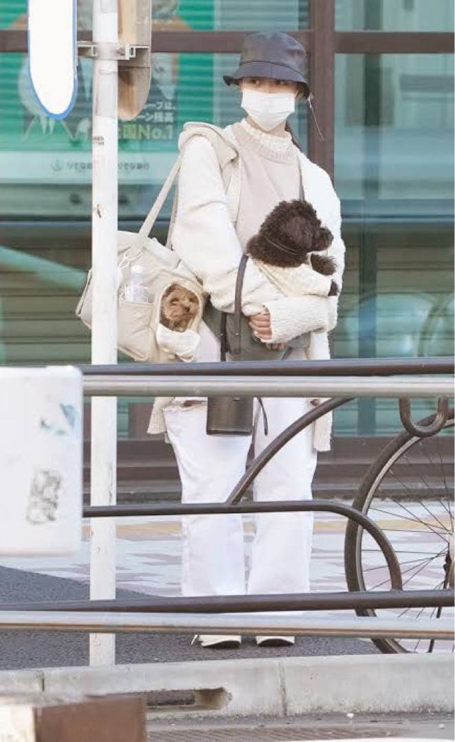 橋本環奈愛用中　moncheriキャリーバック