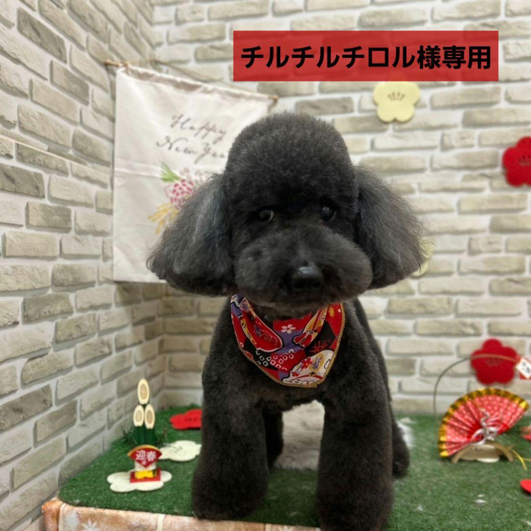 チルチルチロル　犬のおやつ