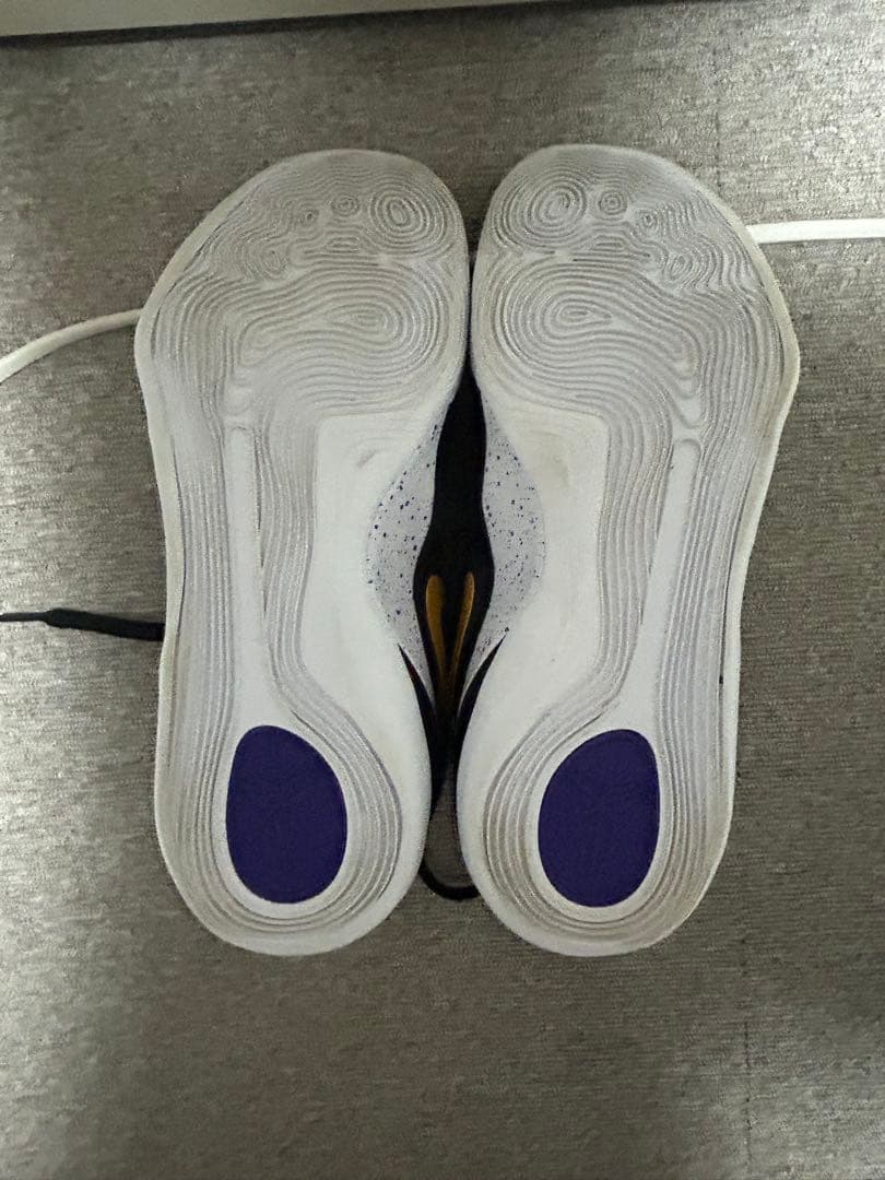 Nike Kobe 9 Elite Low Protro コービー9バッシュ