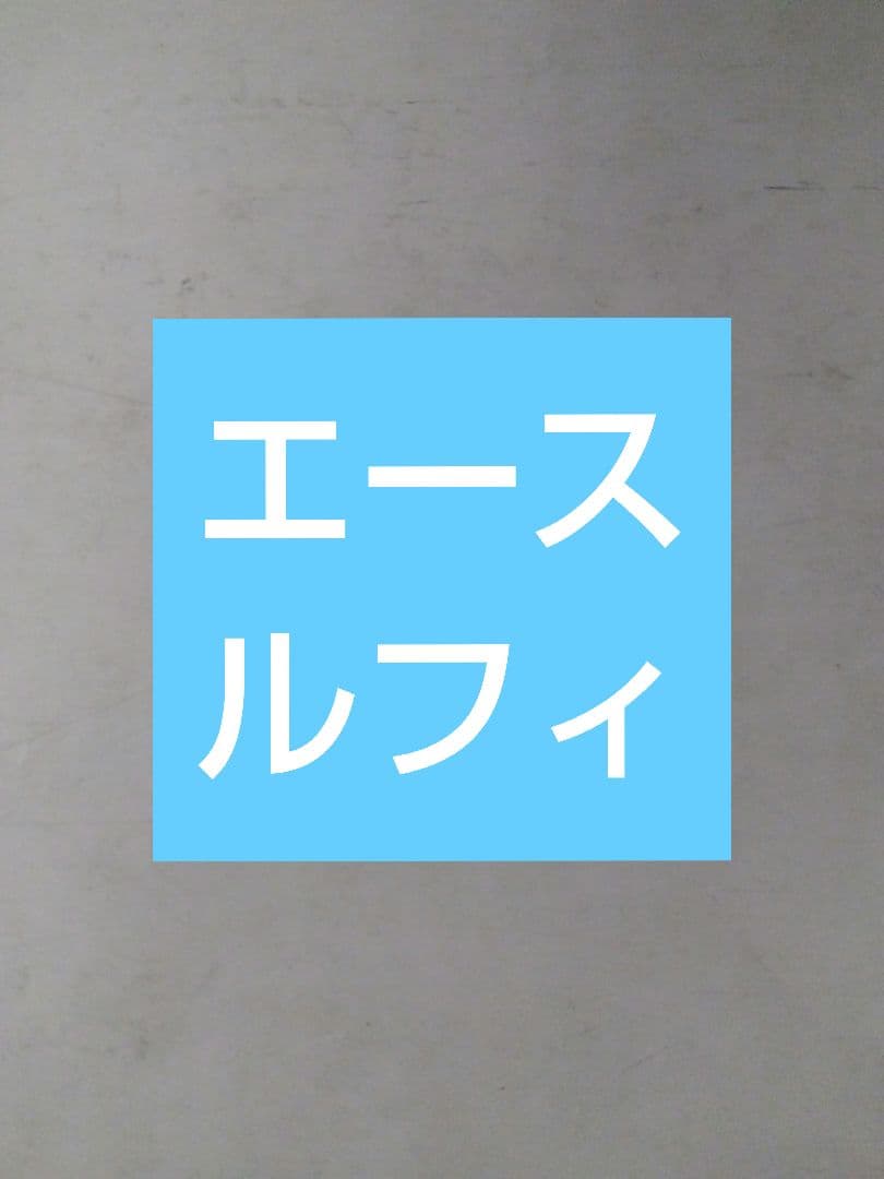 ワンピース スケートボード 2台セット ルフィ＆エース