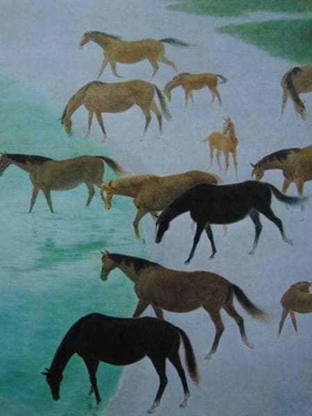 東山　魁夷 、【水辺放牧】、希少画集画、新品高級額・額装付、状態良好