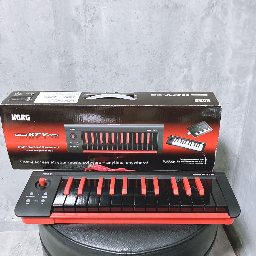 【希少】korg コルグ MIDIキーボード microKEY-25 25鍵