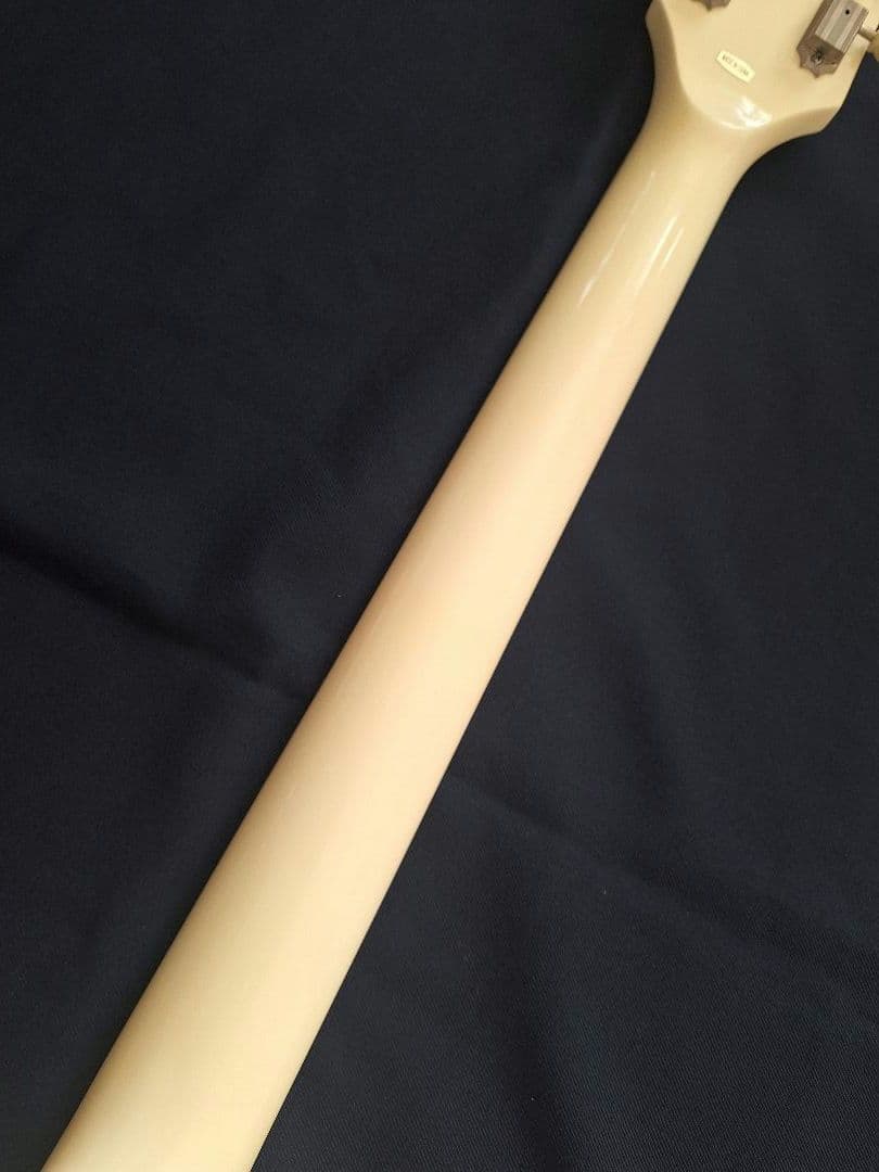 Bacchus Universe BSG-480 WHITE セットネック