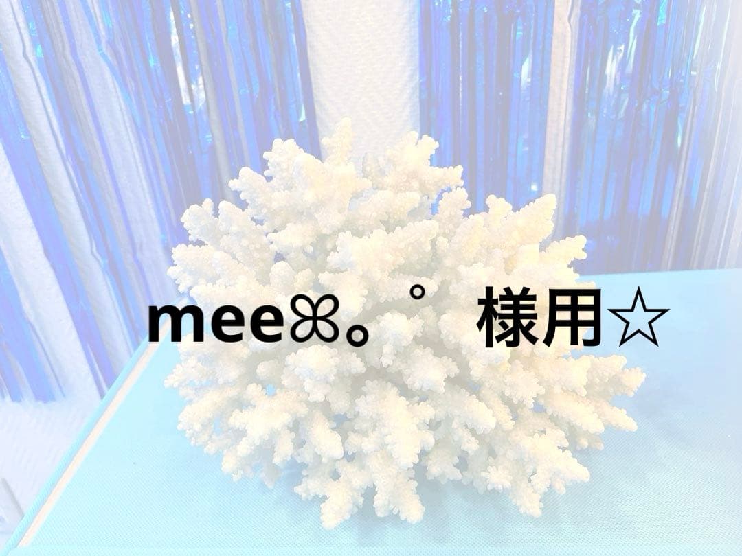 meeꕤ。゜様用☆
